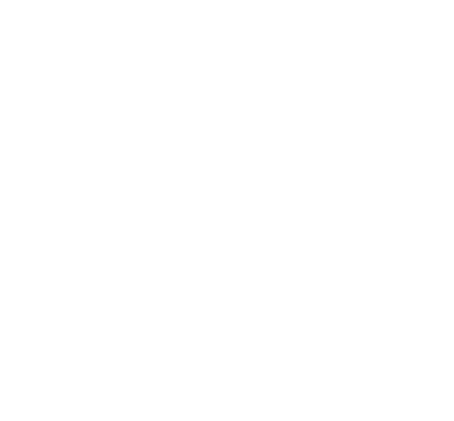 Bahar sabs withe logo